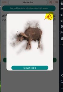 WhatsApp Image 2025-10-12 at 19.05.35_6951aa42